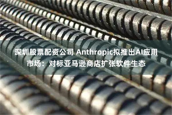 深圳股票配资公司 Anthropic拟推出AI应用市场：对标亚马逊商店扩张软件生态