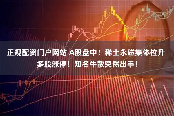 正规配资门户网站 A股盘中！稀土永磁集体拉升 多股涨停！知名牛散突然出手！