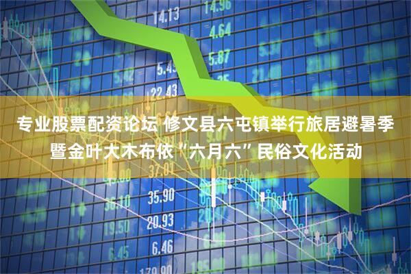 专业股票配资论坛 修文县六屯镇举行旅居避暑季暨金叶大木布依“六月六”民俗文化活动